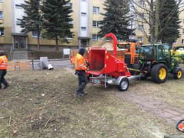 Referenzen von Hausmeisterservice Bastian GmbH aus Eisenberg